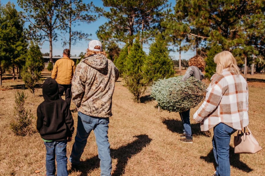 A family walking back through the field carrying their tree