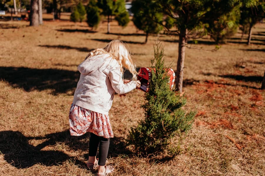 A little girl mailing her letter in the North Pole mailbox among the trees