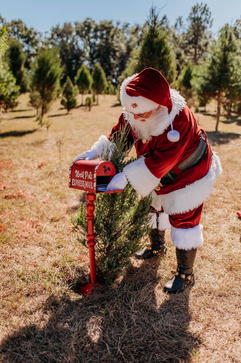 Santa checking the North Pole Express Mail box in the field