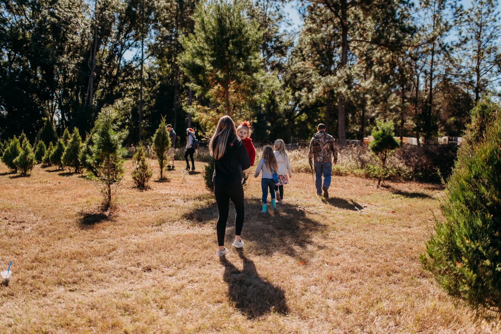 A family walking into the rows of Christmas trees, a toddler looking back over mom's shoulder