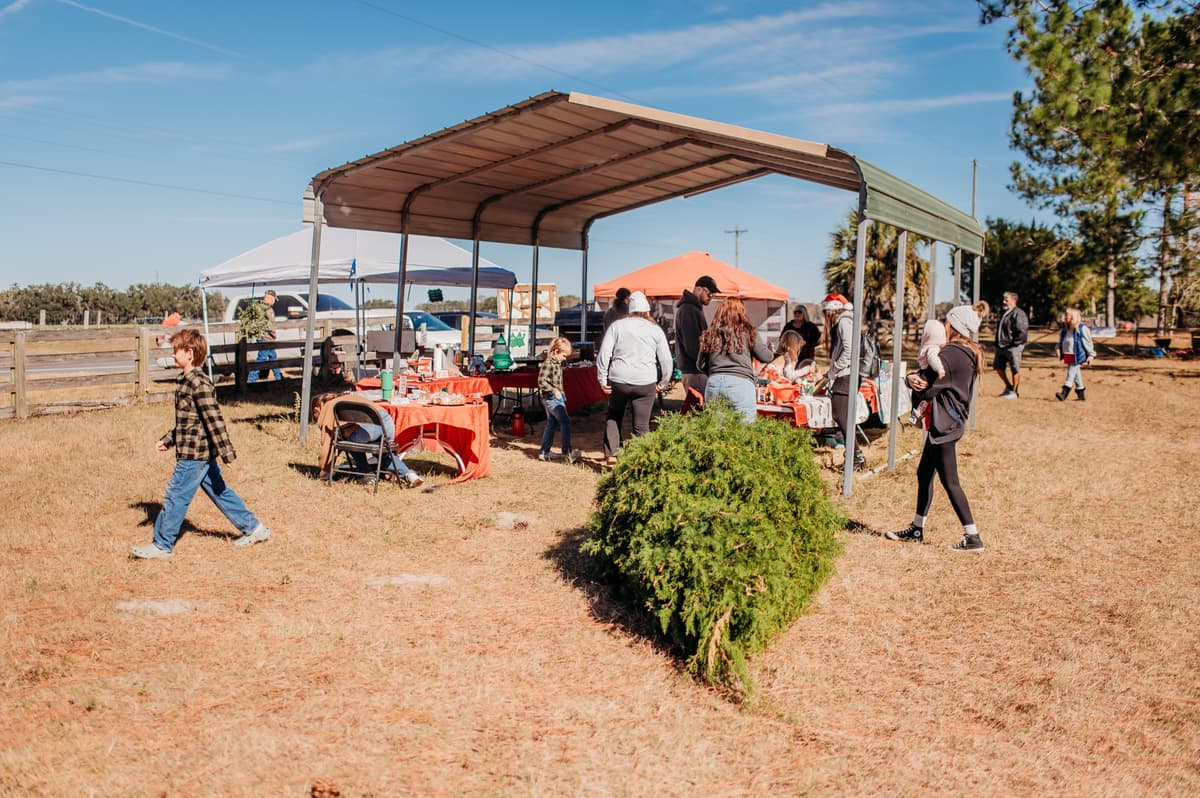 Families browsing vendor tables under the covered tent while someone drags home a fresh-cut tree